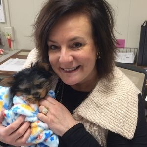 Meet your Posher, Allison